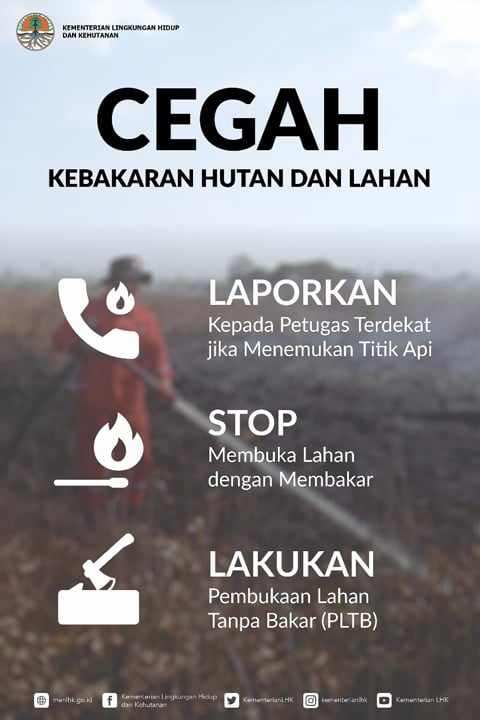 Infografis: Ayo Cegah Kebakaran Hutan dan Lahan