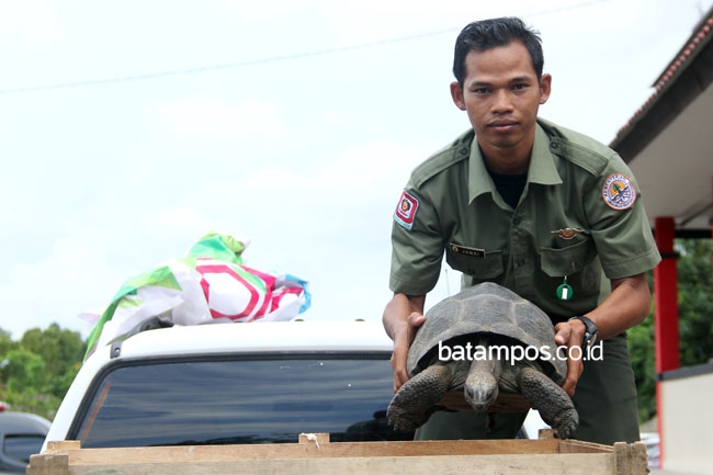 Polda Kepri Gagalkan Penyeludupan Hewan Langka dari Maluku
