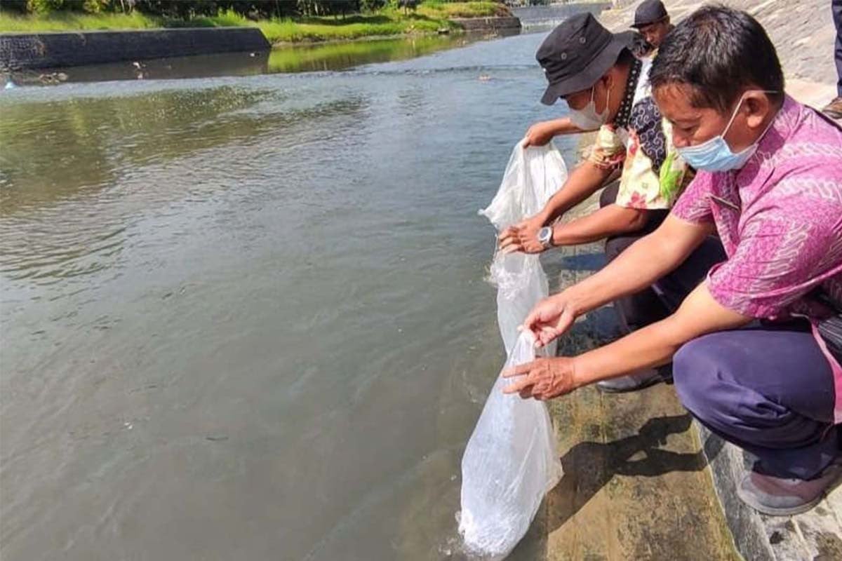 Tumbuhkan Ekosistem Sungai, Puluhan Ribu Benih Ikan Ditebar di Semarang - JPNN.com Jateng