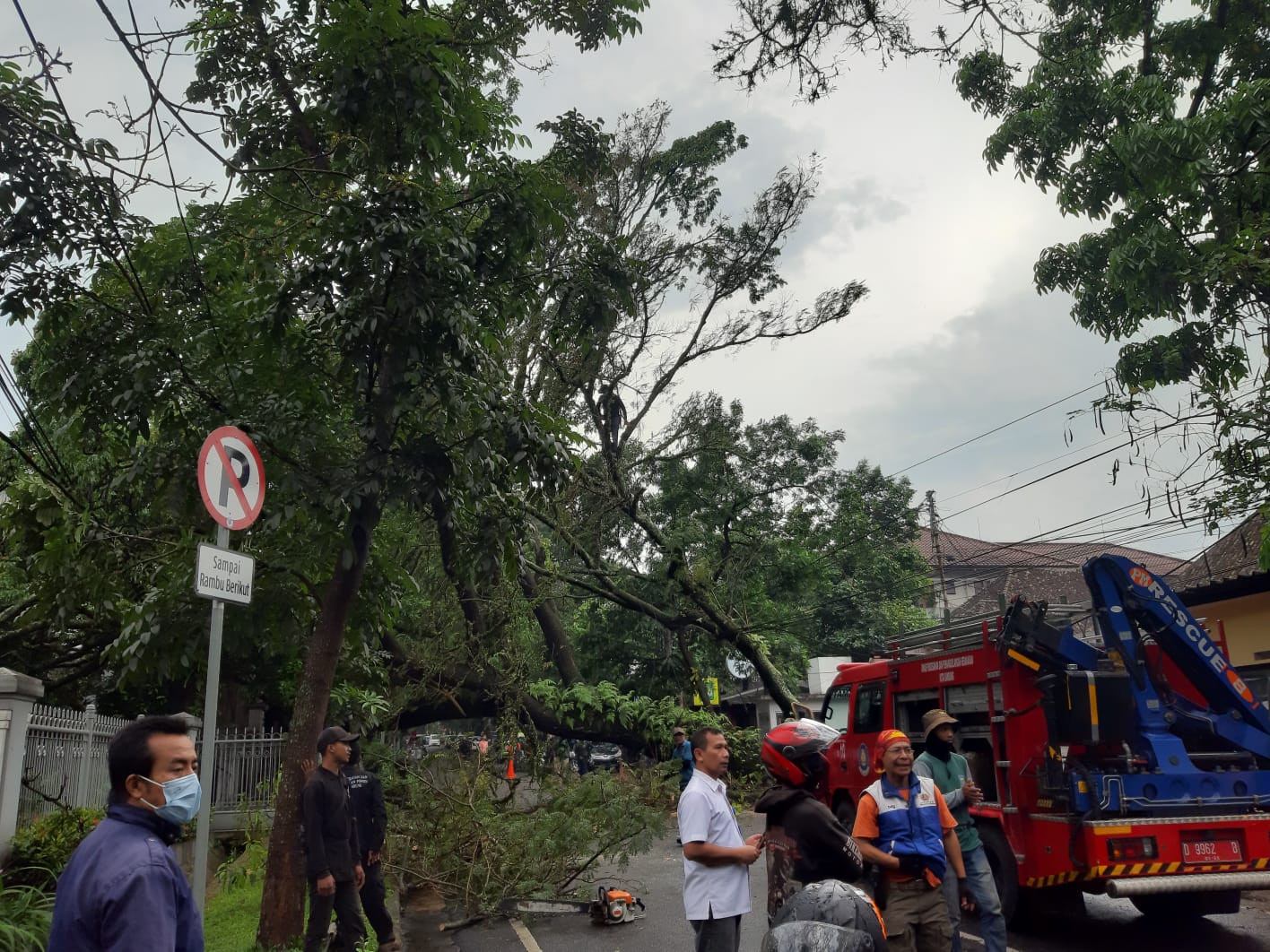 Lihat, Pohon Tumbang Menimpa Mobil di Bandung - JPNN.com Jabar