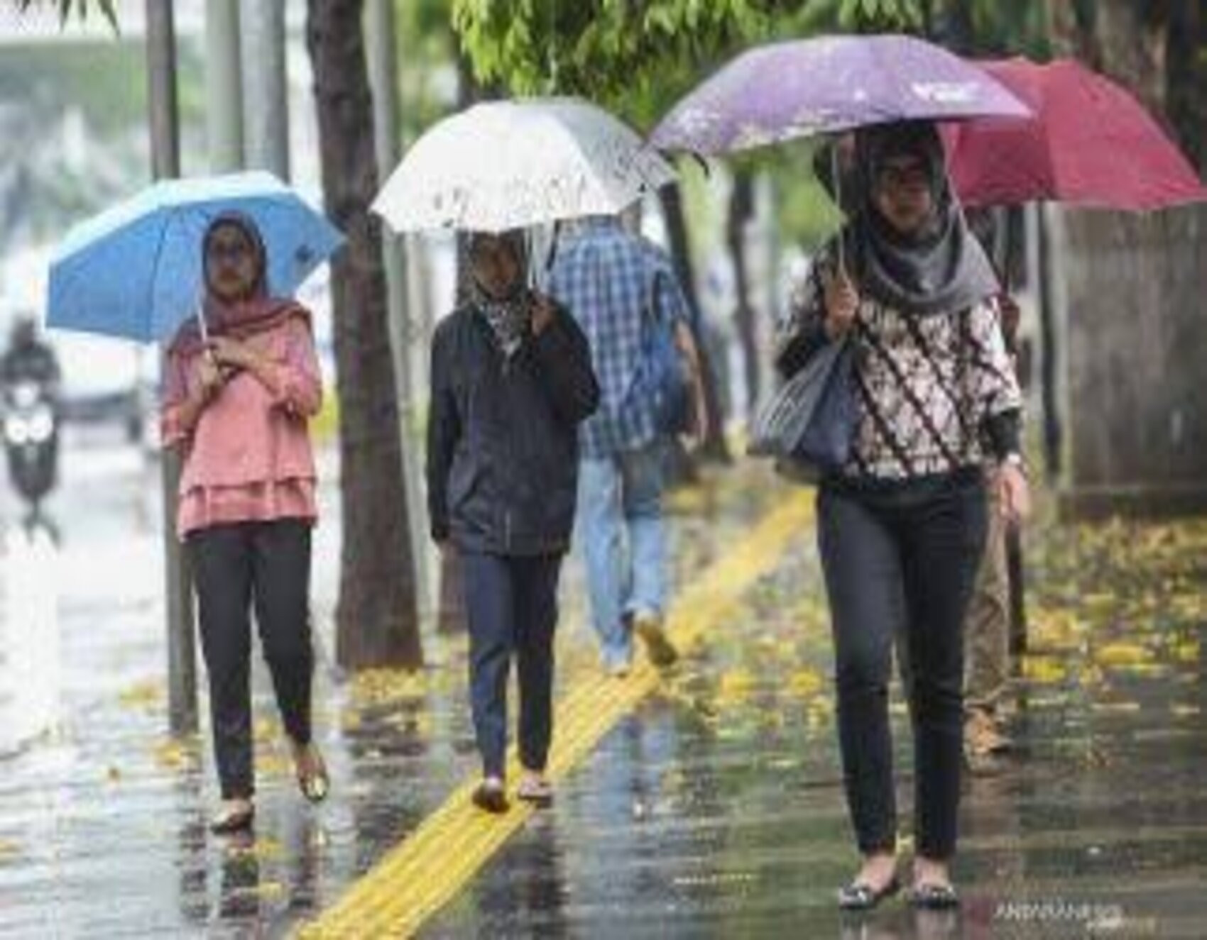 Info BMKG Minggu 26 Juni 2022, Berikut Prakiraan Cuaca di Lampung, Cek di Sini! - JPNN.com Lampung