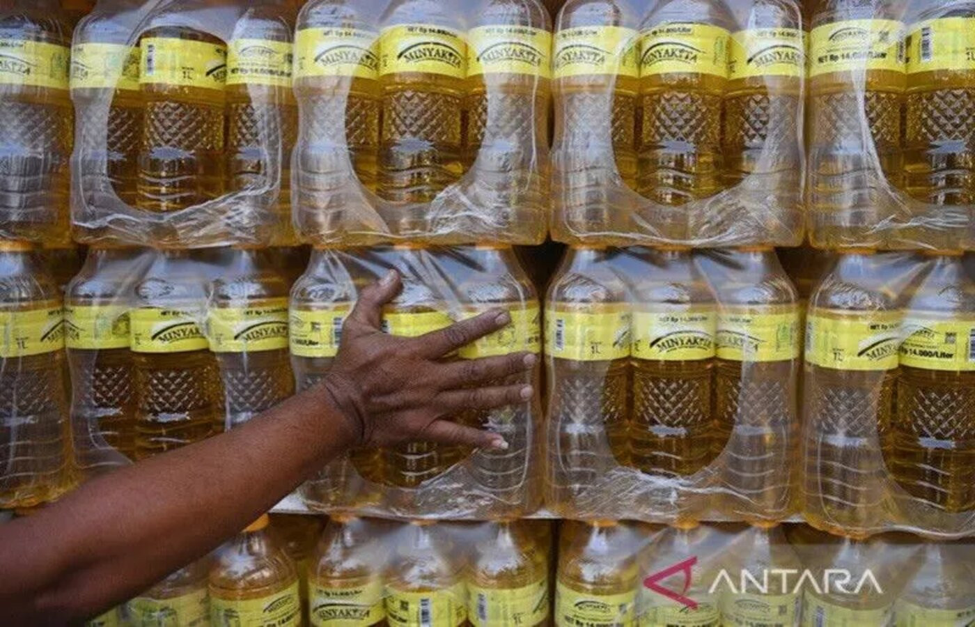 Menjelang Bulan Puasa, Harga Minyak Goreng di Pesisir Barat Mengalami Kenaikan - JPNN.com Lampung